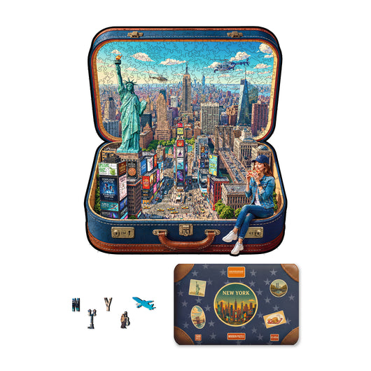 New York in a Case