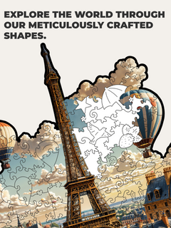 Paris in a Case